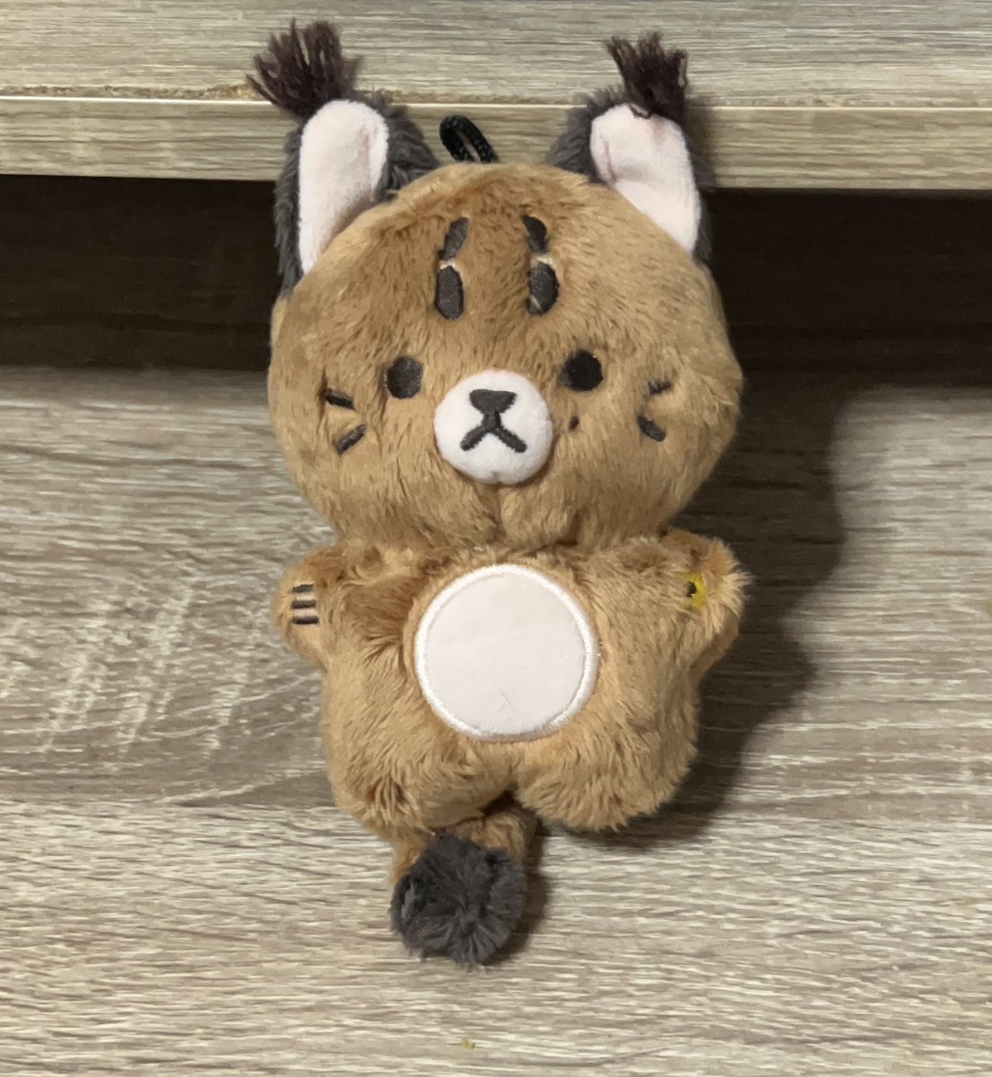 amyourpeachy's tweet photo. wts พร้อมส่ง ♡

ส่งต่อ ตุ๊กตา johnnycal little caracal by @.jjohnnyzzz 

400 รวมส่ง เคยออกข้างนอก ไม่เคยอาบน้ำ

#ตลาดนัดnct #ตลาดนัดnct127 #ตลาดนัดอซท #ตุ๊กตาจอห์นนี่ #ตุ๊กตาnct ตุ๊กตาจอนนี่ 쬬니칼 10cm จอห์นนี่คิง จอห์นนี่คัล ปล่อย ตามหา https://t.co/k6SibUp8nx