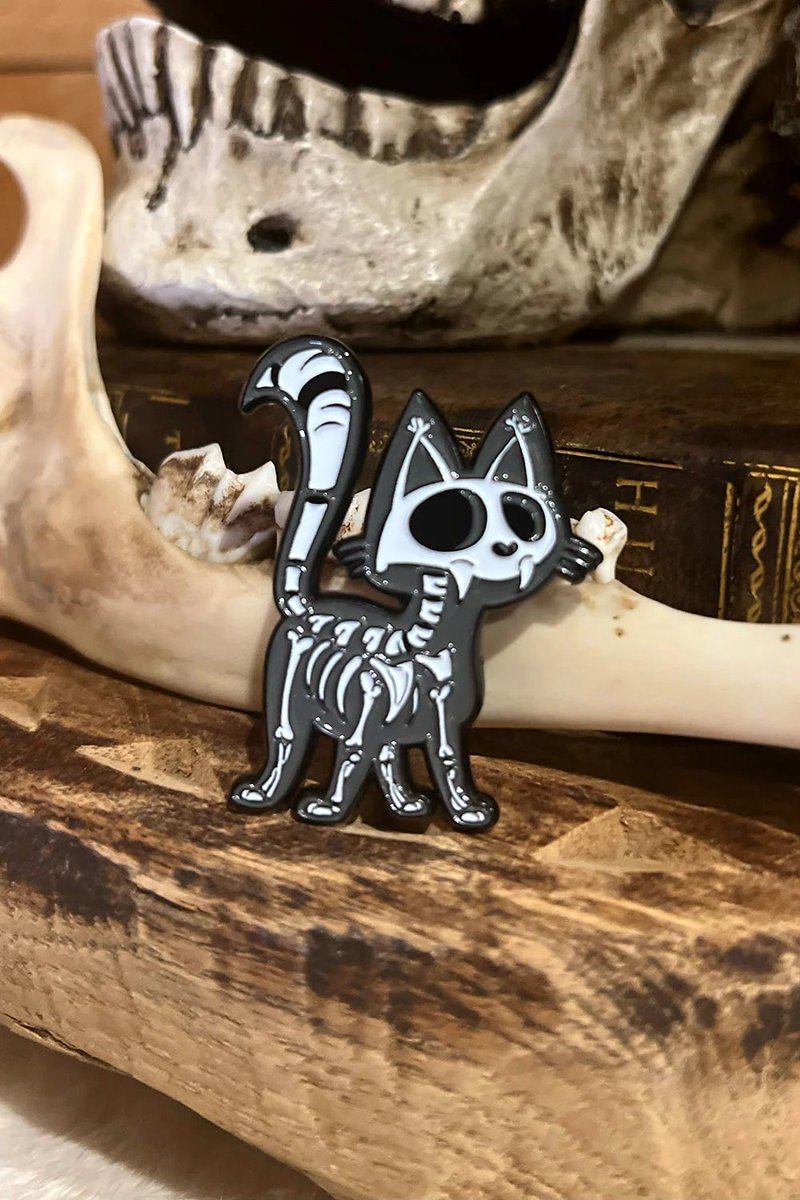 VampireFreaks's tweet photo. What would you put our Skelekitty Enamel Pin on?
#Skelekitty #EnamelPin #GothPin #GothicPin #GothFashion #VampireFreaks https://t.co/9zRNXtuVPi