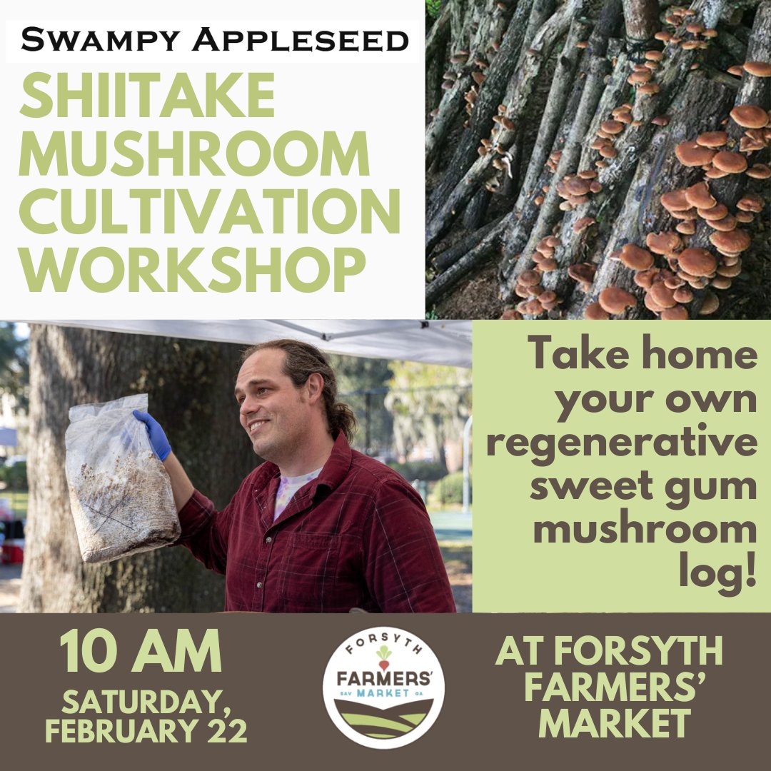 Ever wanted to cultivate your own delicious, homegrown mushrooms? 🌱 Join us Saturday, Feb 22, 2025, at 10 AM at Forsyth Farmers’ Market for Fresh Perspectives: Shiitake Mushroom Cultivation! 🌿

Spots are limited, so register now at eventbrite.com/e/a-fresh-pers…! ✨