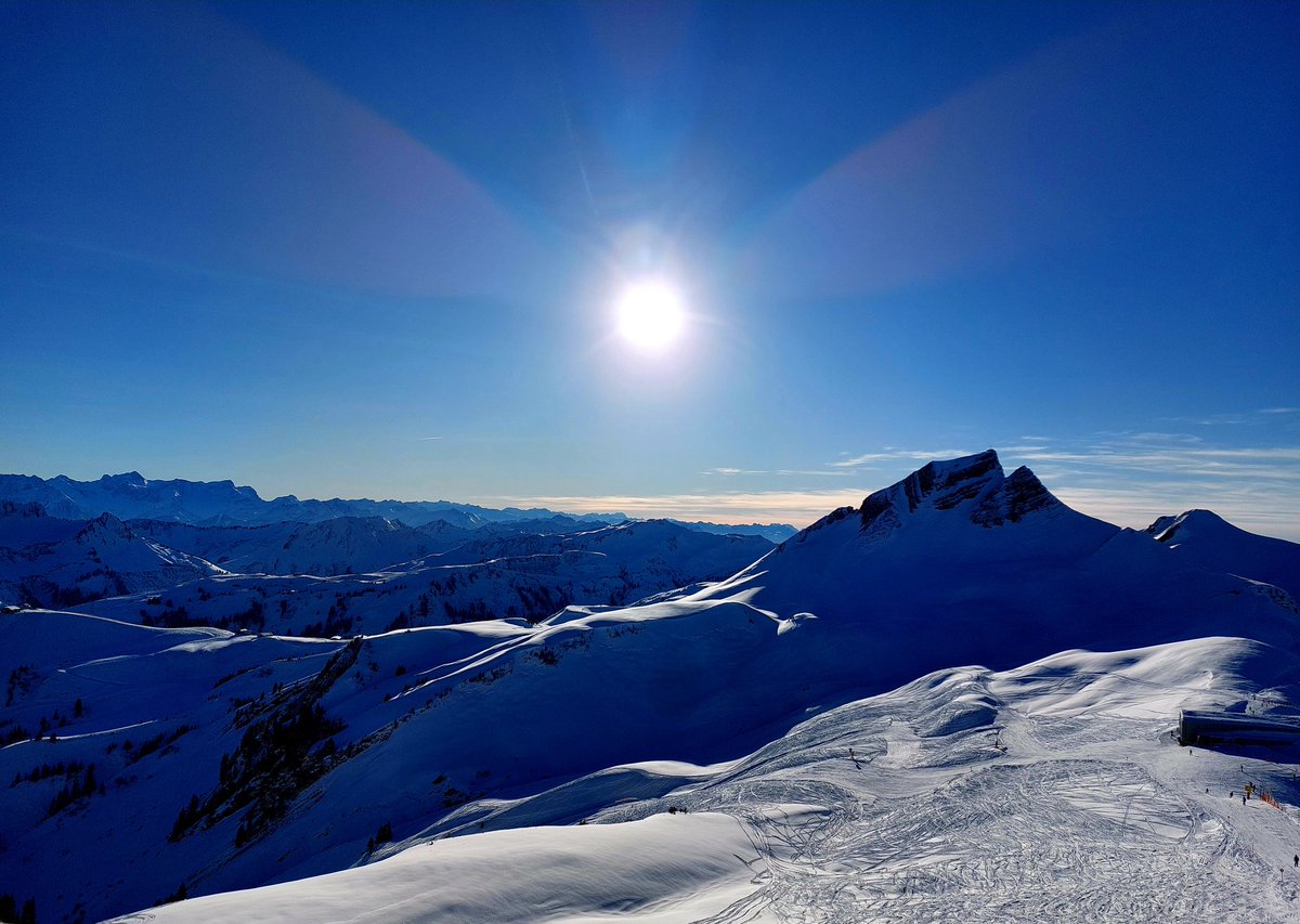 Olaf Schmidt (@olaf1893) on Twitter photo 