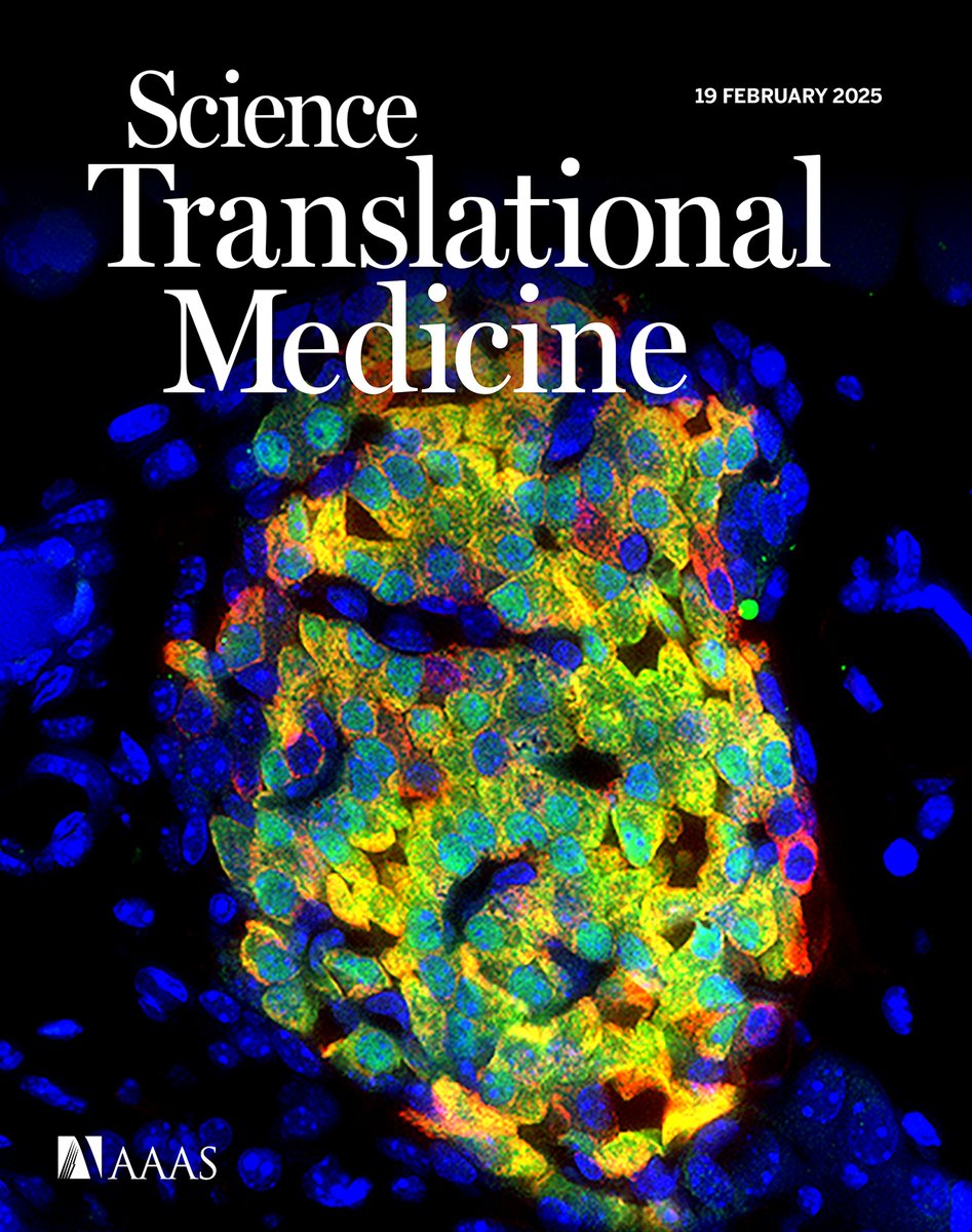 Don't miss this week's issue of #ScienceTranslationalMedicine! 

A "window-of-opportunity" clinical trial tests a potential therapy for glioblastoma, antibodies combat vascular leak from Crimean-Congo hemorrhagic fever virus in mice, and more.

scim.ag/4k2jCAP