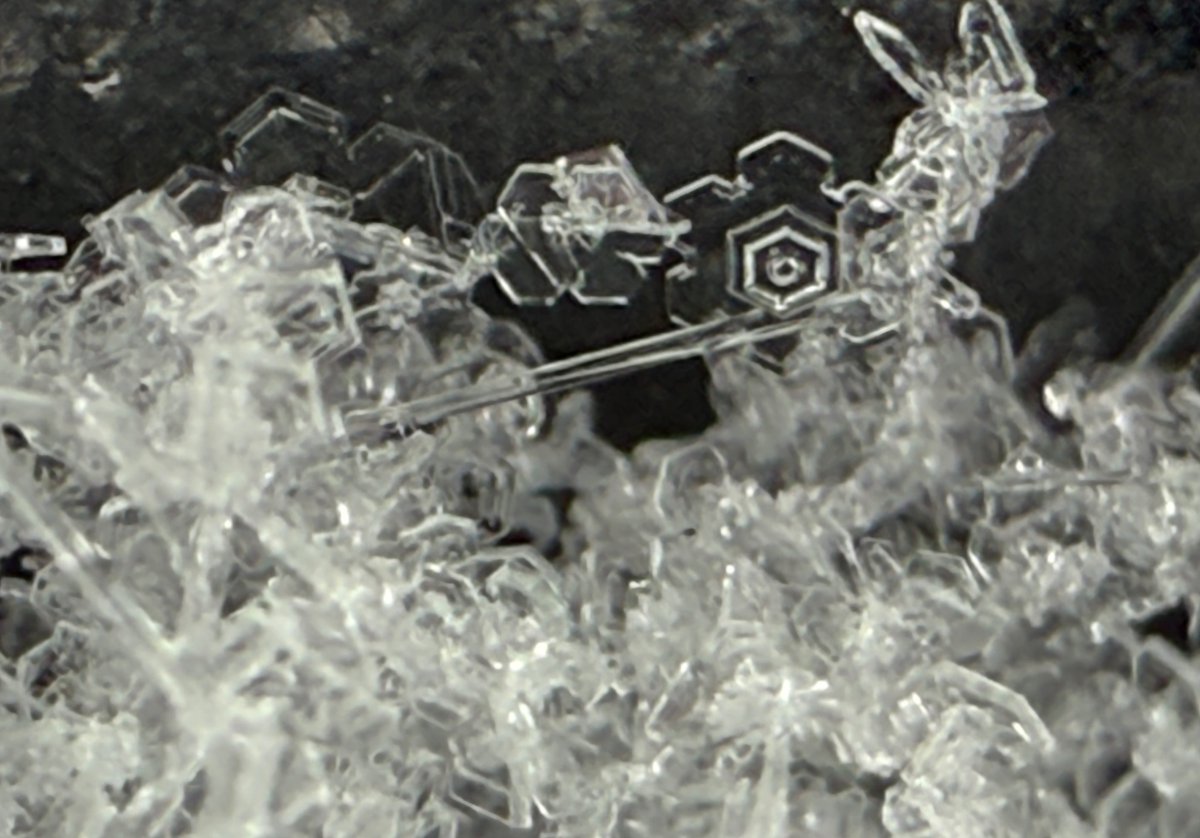 Nature unfiltered. <a href="/WAVY_News/">WAVY TV 10</a> <a href="/KatieCollettTV/">Katie Collett</a>