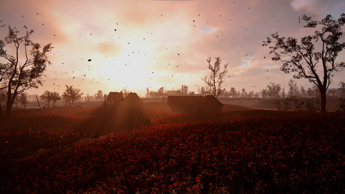 Incredibly beautiful.