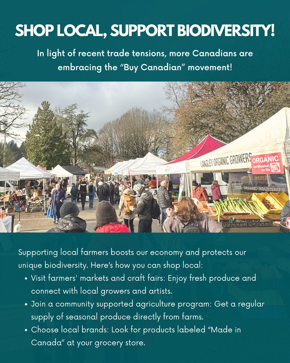 our_safety_NET's tweet photo. More Canadians are embracing the “#BuyCanadian” movement. #Localfarmers are not just a source of fresh food, they are stewards of #Canadianbiodiversity. By purchasing locally, we help preserve diverse ecosystems and sustainable farming practices that protect our flora and fauna. https://t.co/u4S1GonLo0