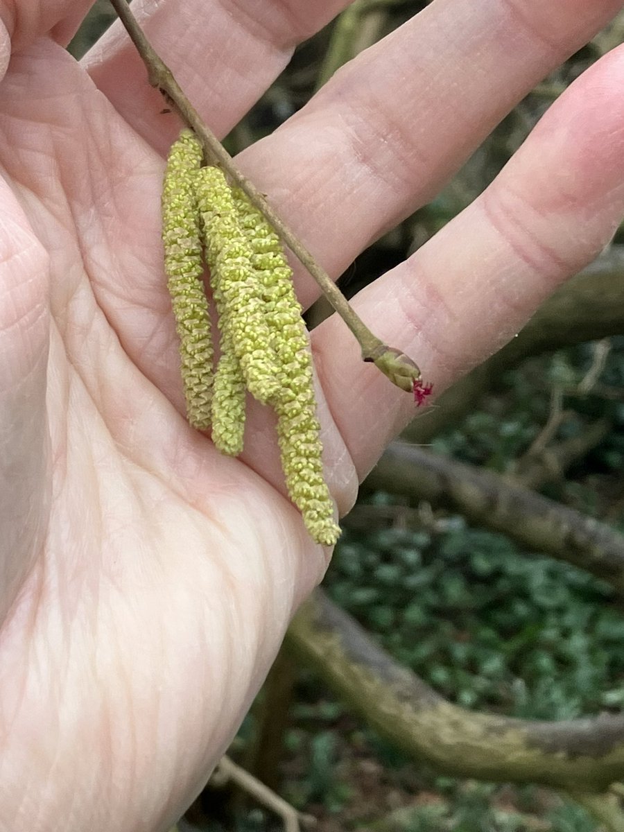 Anthony Brandreth tweet media