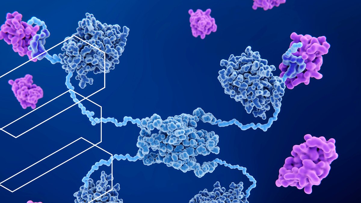 CASChemistry's tweet photo. Hundreds of thousands of protein interactions influence diseases. Thanks to new AI-powered modeling programs, researchers can now predict #proteinstructures faster and accelerate the discovery of potential breakthrough drugs. Learn how: https://t.co/Hm0IoIQHLP https://t.co/Trhw7cyzRZ