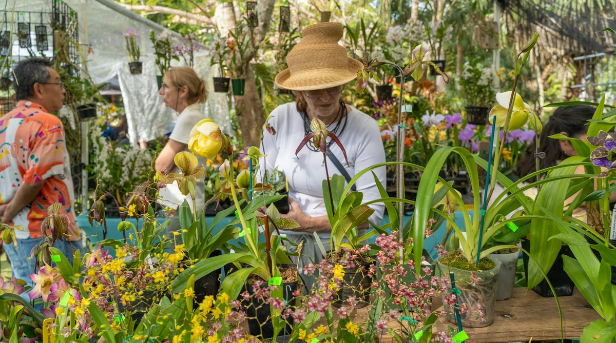 Naples Botanical Garden tweet media
