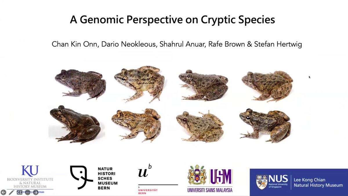 TAKosch's tweet image. This week the AGC hosted an excellent seminar by Kin Onn Chan @chankinonn from the Kansas Biodiversity Institute & Natural History Museum.
You can watch Kin's talk and the many others we have lined up for the year by joining the AGC at go.unimelb.edu.au/k2ss