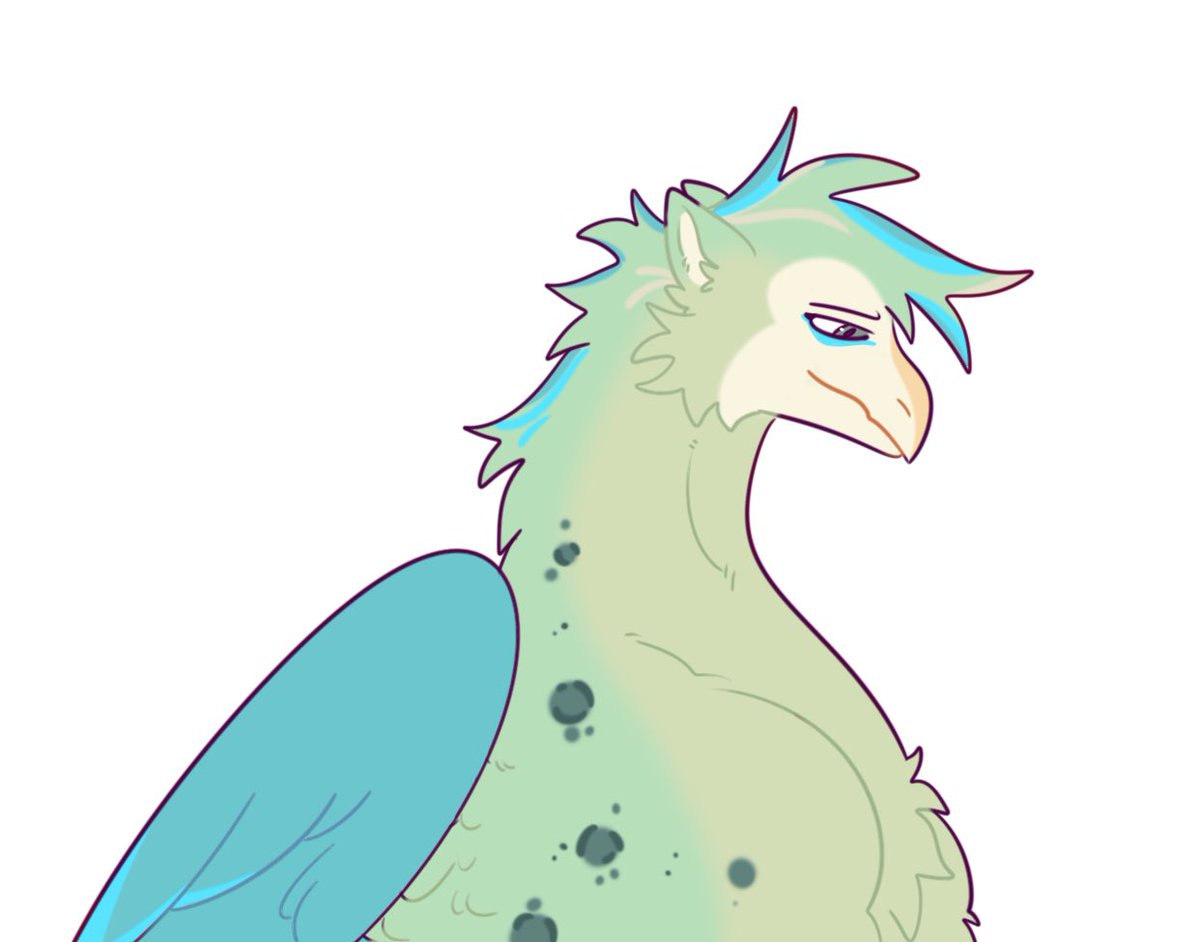 thinking about birddragon transformation Kite