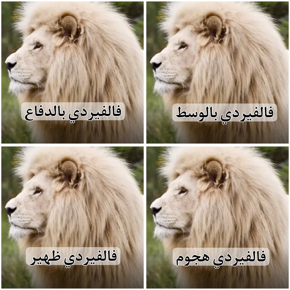 ابو مدريد (@7zlttan) on Twitter photo 