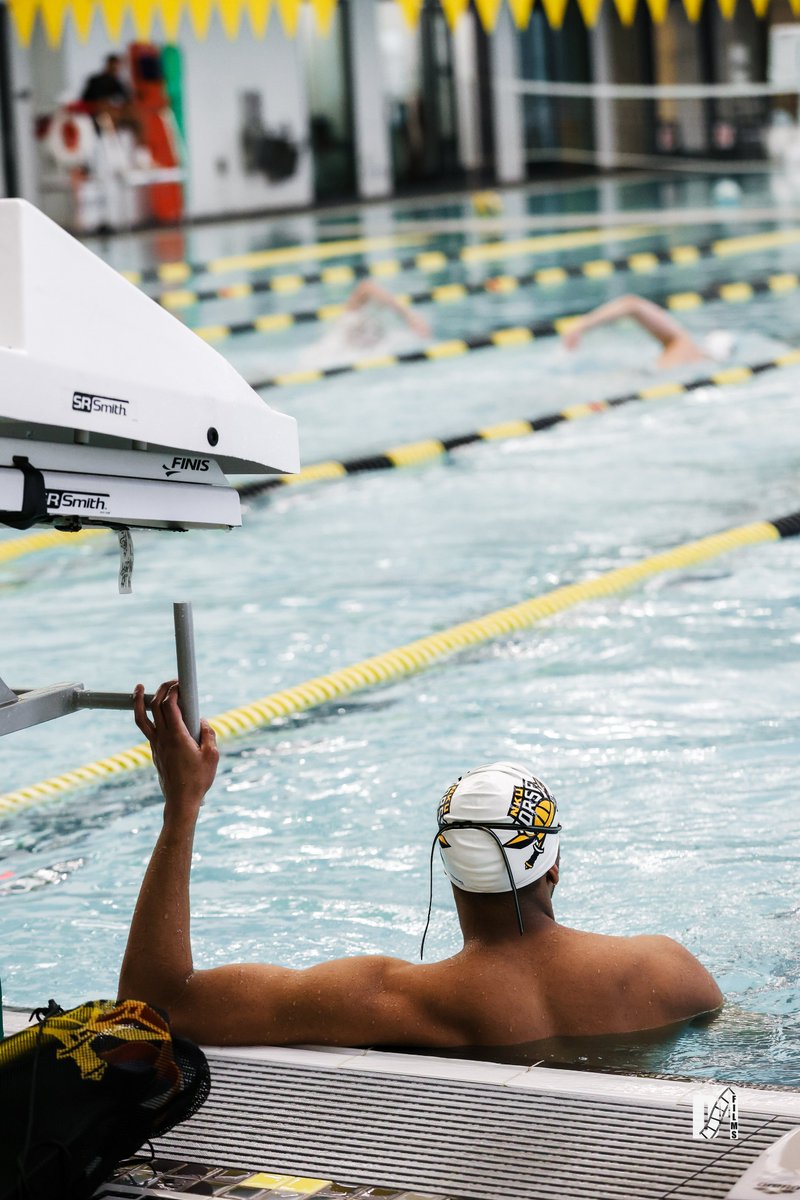 NKUNorseSWIM tweet media