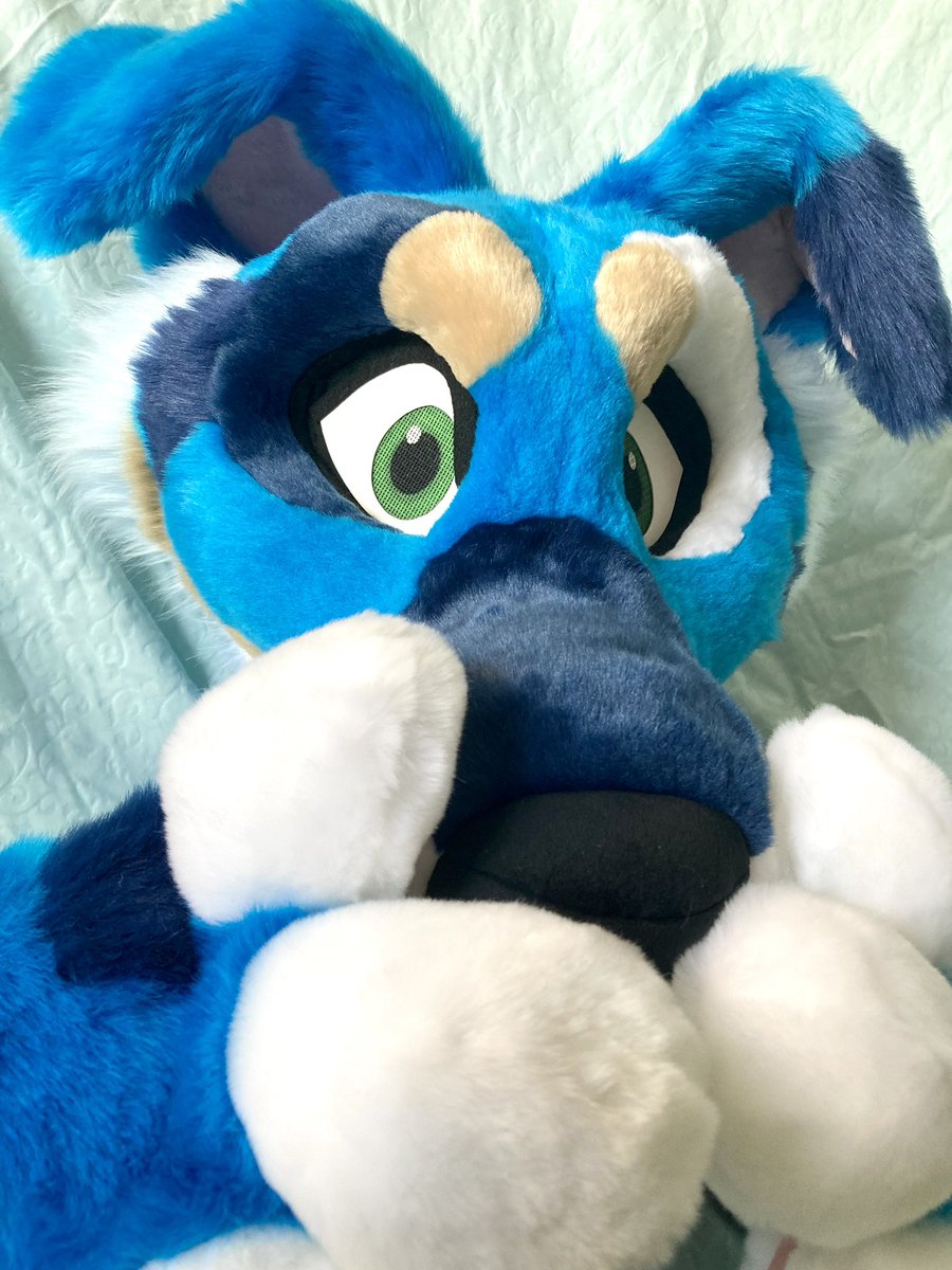 🧵MadeByPaws🪡(Coms Open) tweet media