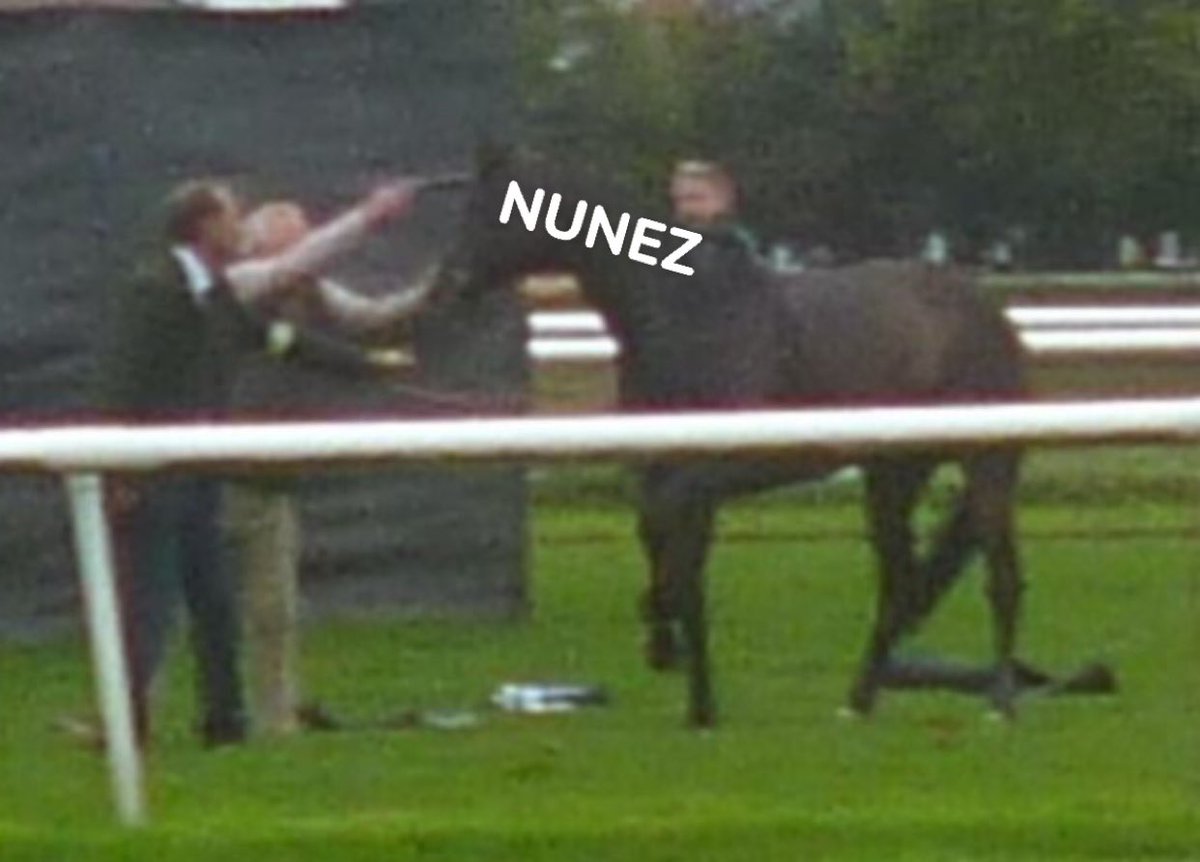 PM (@____pm1o) on Twitter photo 