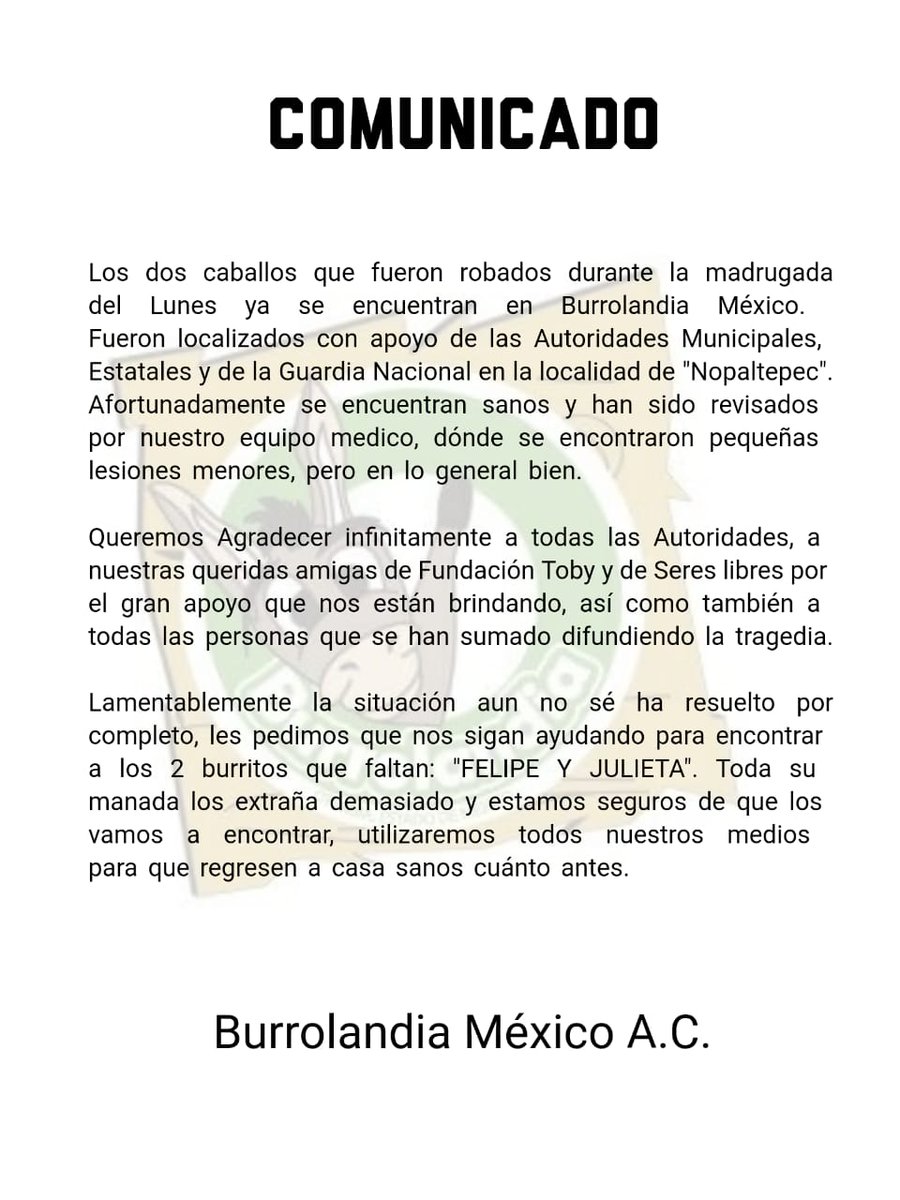 Burrolandia México (@burrolandia_mx) on Twitter photo 