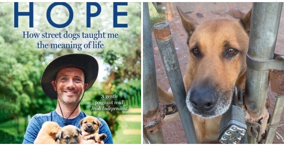 Books We Read @ Chang (@bwr_chang) on Twitter photo Looking forward to reading the next book by <a href="/NiallHarbison/">Niall Harbison</a> with this recap on his journey to #recovery with the help of #happydoggo.
sites.rutgers.edu/books-we-read/…
<a href="/RULibraries/">Rutgers University Libraries</a> <a href="/Rutgers_CAS/">Rutgers Center of Alcohol & Substance Use Studies</a> <a href="/RutgersSEBS/">Rutgers SEBS</a>
#Reading #dogs #libraries Looking forward to reading the next book by <a href="/NiallHarbison/">Niall Harbison</a> with this recap on his journey to #recovery with the help of #happydoggo.
sites.rutgers.edu/books-we-read/…
<a href="/RULibraries/">Rutgers University Libraries</a> <a href="/Rutgers_CAS/">Rutgers Center of Alcohol & Substance Use Studies</a> <a href="/RutgersSEBS/">Rutgers SEBS</a>
#Reading #dogs #libraries