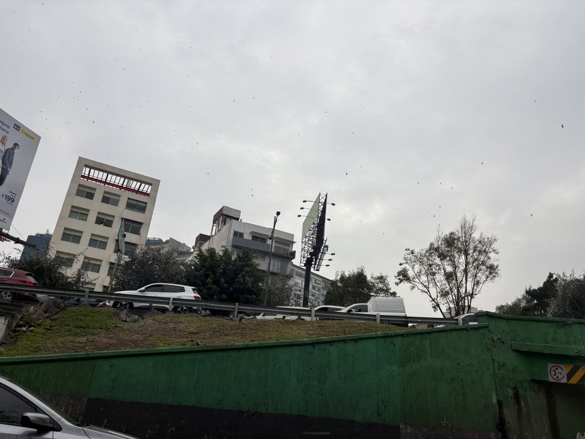 💚 Ana Marin tweet media