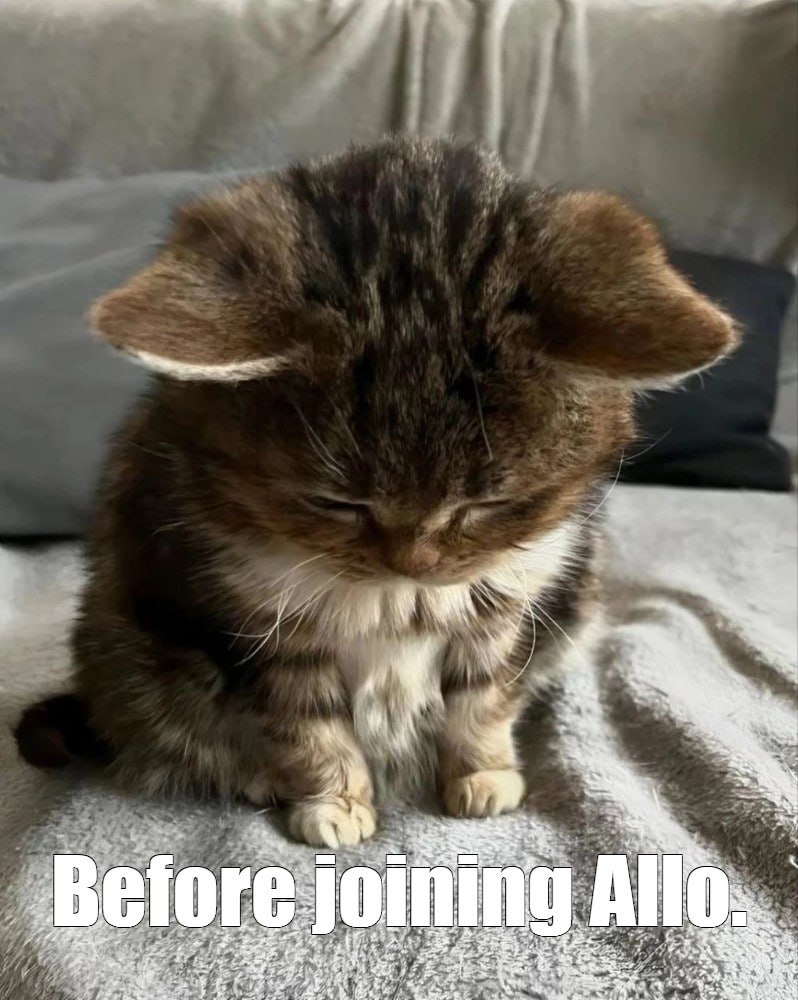 ☺️☺️☺️

<a href="/allo_xyz/">ALLO</a> #AlloMeme