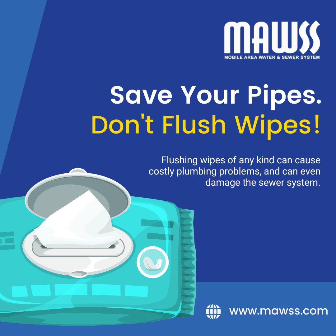 Flushing wipes of any kind can cause costly plumbing problems, and can even damage the sewer system. Save the environment and your wallet by only flushing toilet paper! #clogfree #savetheenvironment #zeroplumbingsurprises