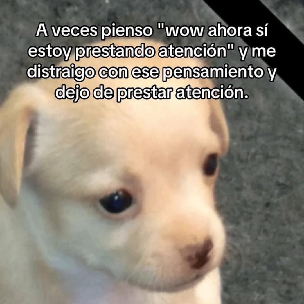El Guarromántico tweet media