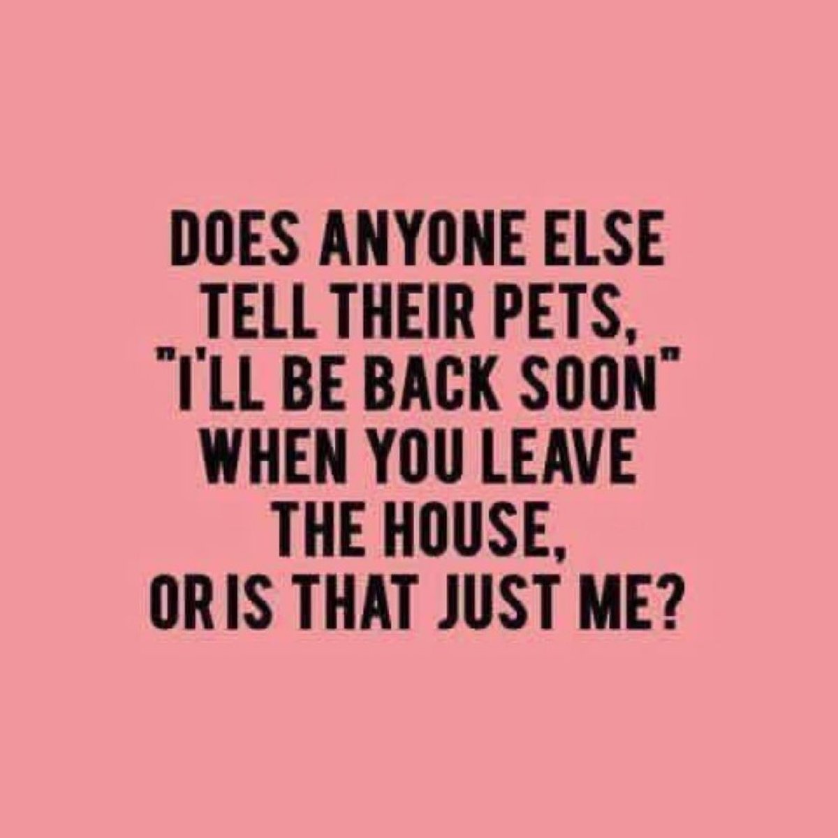 Content from jennydoesfreestuff