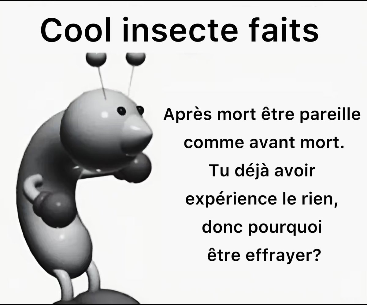 Memes traduits en français sans aucun crédit tweet media