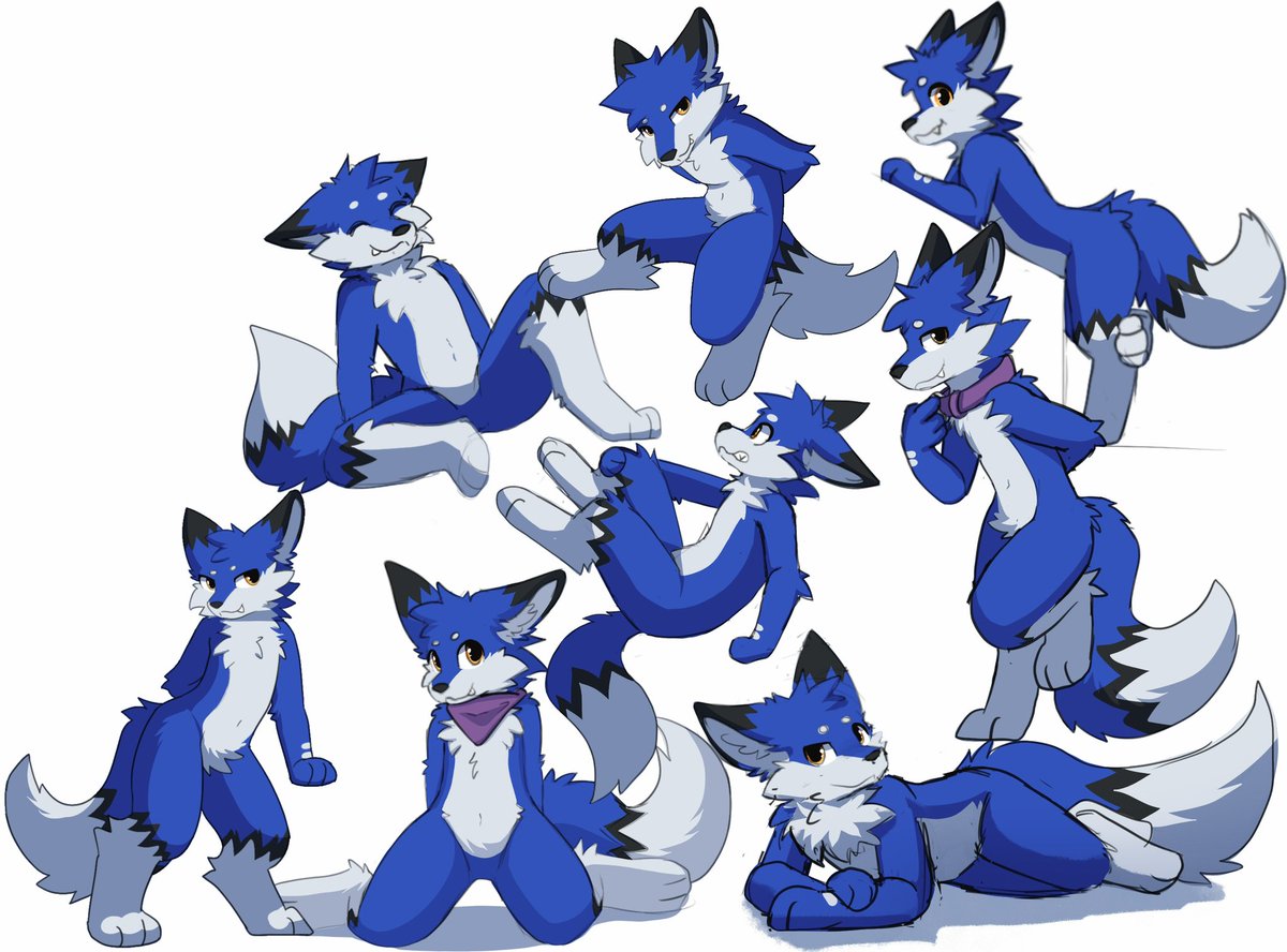 zell950's tweet photo. Blue foxes ✨ https://t.co/5SGkfM3lFL
