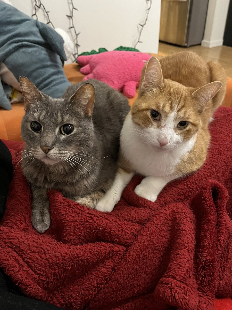 Glad you’ve been enjoying the album. Here’s Trouble and Havoc.