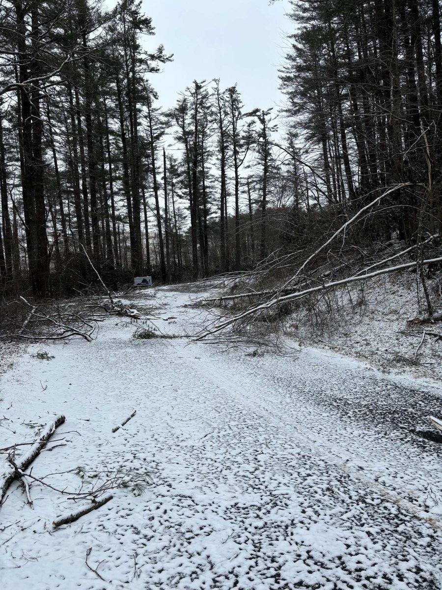 BlueRidgeNPS's tweet image. ADVISORY: Parkway sections near the Virginia and North Carolina state line are CLOSED due to fallen tree hazards. Please respect closure boundaries so park staff can safely clear the roadway.

Stay up to date with closures⬇️
nps.gov/blri/planyourv…