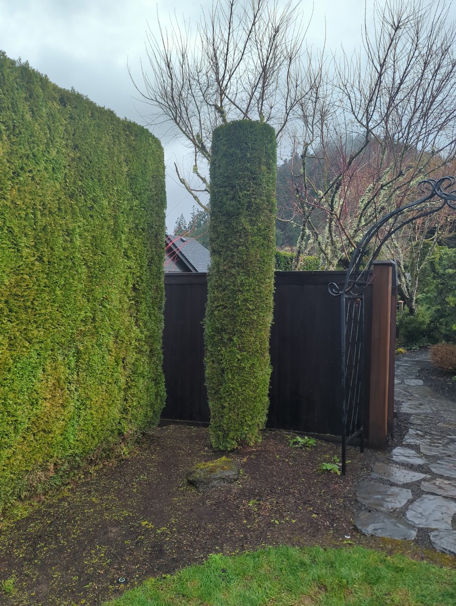 Didactic_Intent's tweet image. Marge???