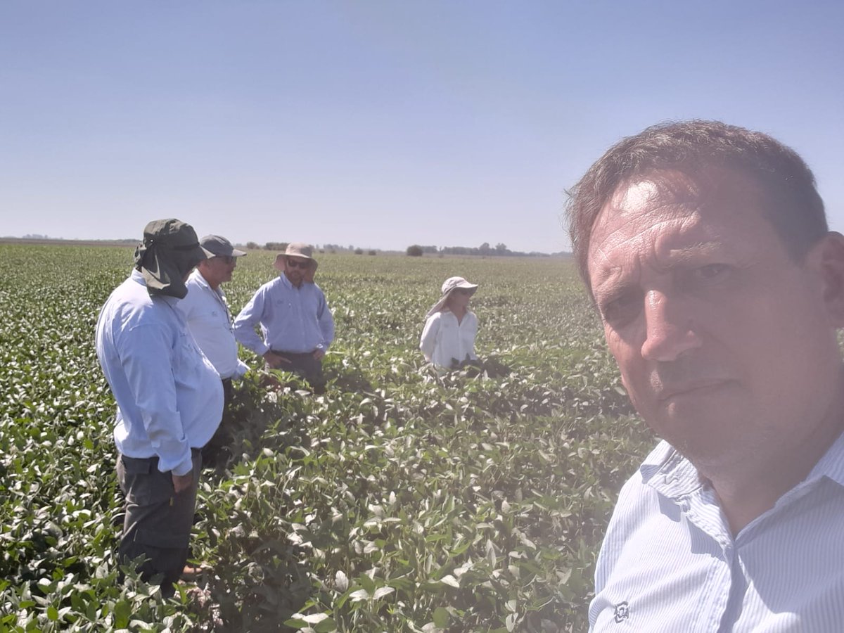 Viendo los nuevos materiales de sojas <a href="/ACAcoop/">ACA</a> con los colegas de <a href="/NuevoSurcosrl/">Nuevo Surco</a>