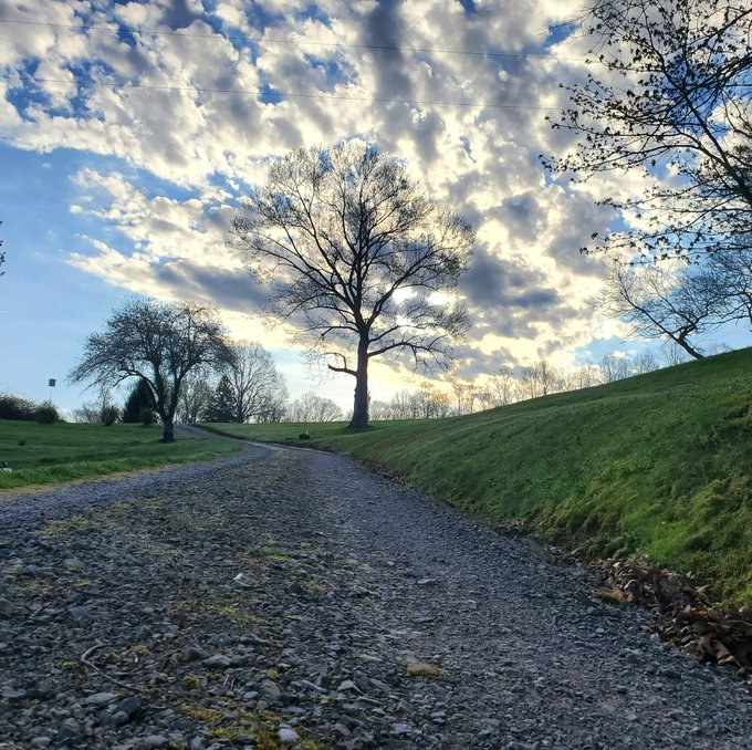 four4thefire's tweet image. About me:
Editor @ordinarytimemag
Commentary for @WV_Watch, the @statesnewsroom
outlet for my beloved West Virginia
Designated American talking head @TheNewsForum_
Daily food fun #twittersupperclub
Substack, podcast, & more @HeardTellShow
Subscribe👇
Heardtell.substack.com