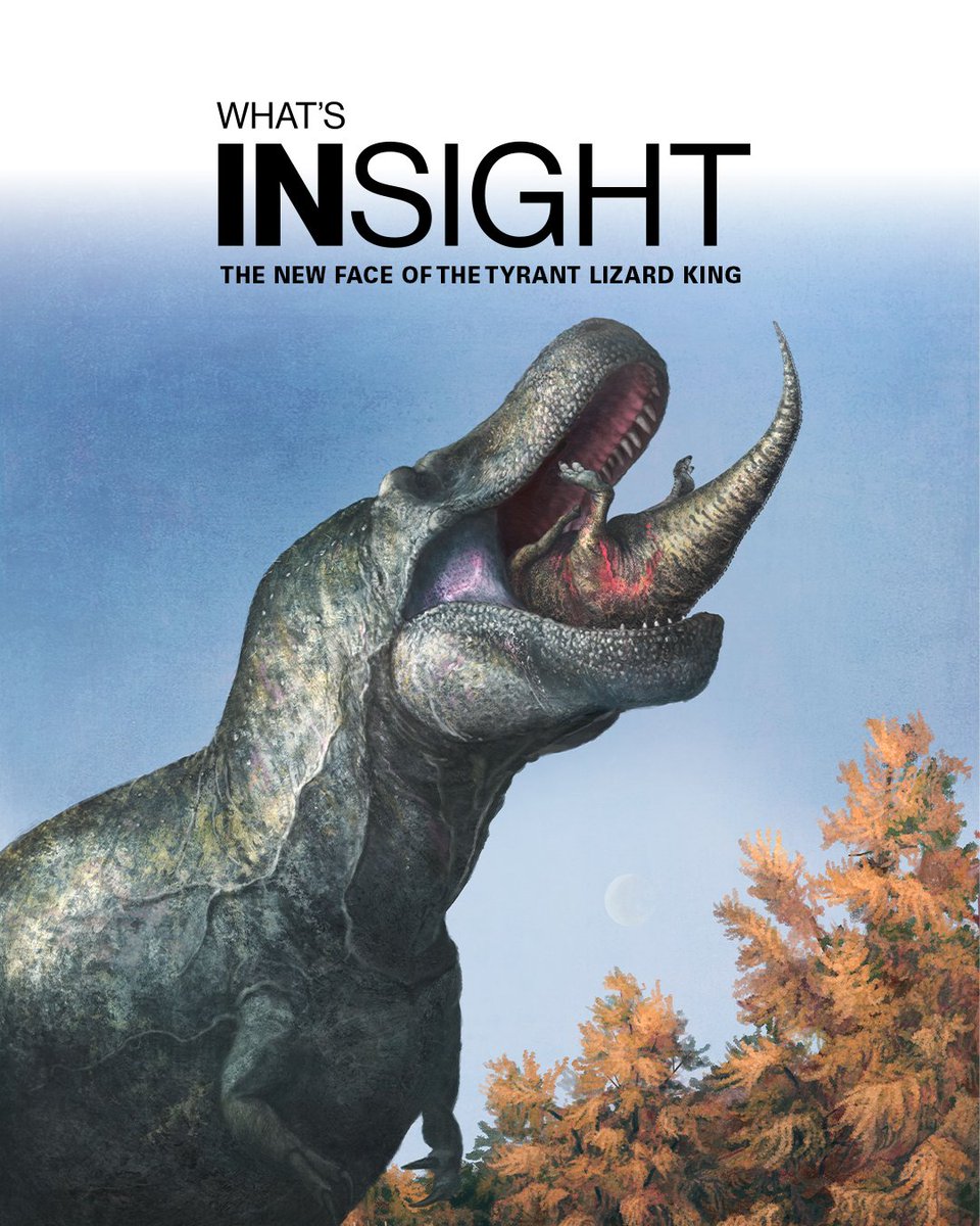 Did T.rex have lips? New research suggests yes, our ancient friends might have had soft issue that covered their (big) teeth. Read more on recent findings by a multinational team of scientists at rbcm.ca/magazine.