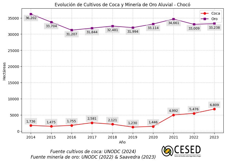María Alejandra Vélez tweet media