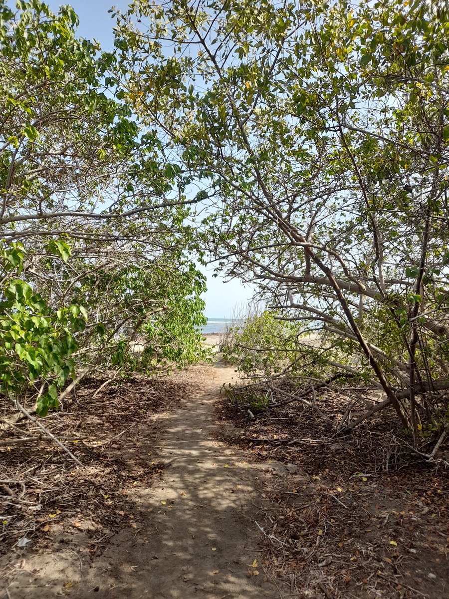 En algún lugar de PR