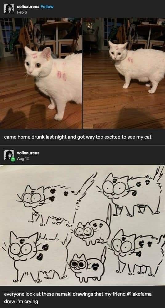 ShouldHaveCat's tweet photo. https://t.co/AyIg5bawTp