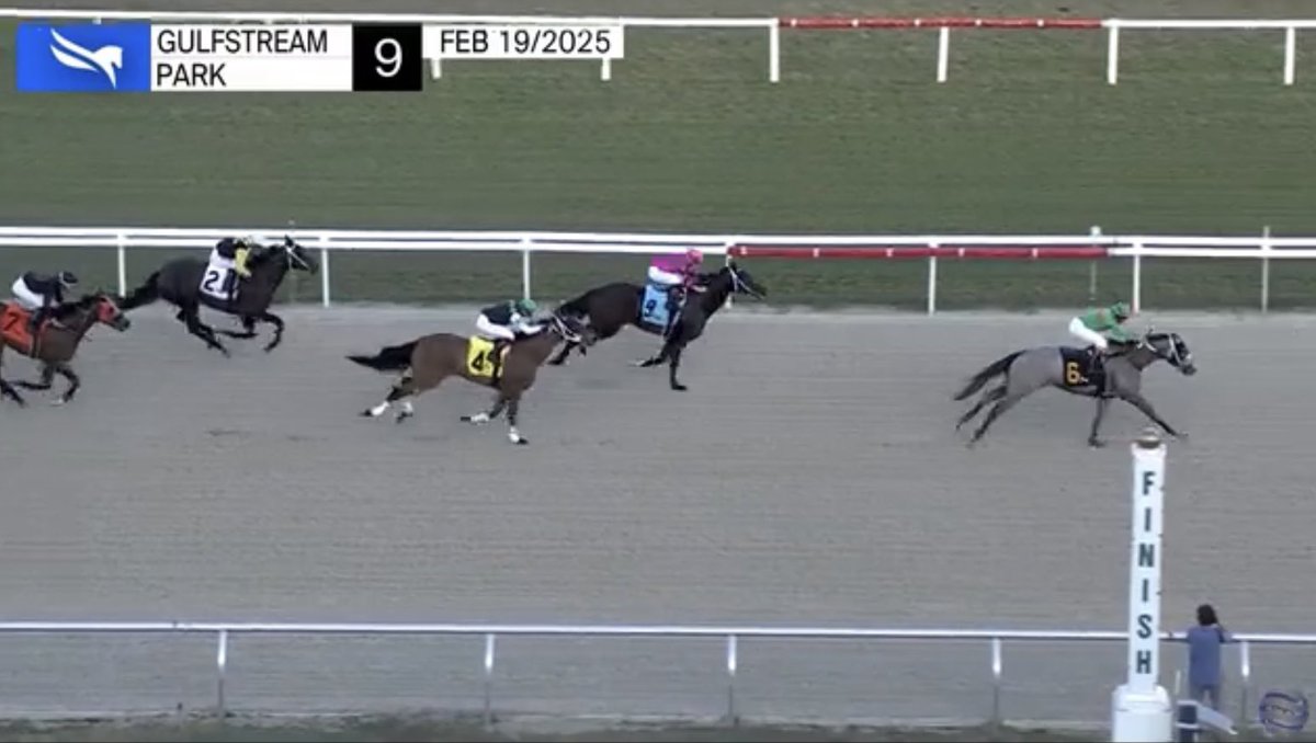 MG Racing tweet media