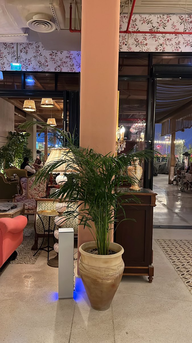 a_n_m_alg's tweet image. عشوائيات 🤩👻