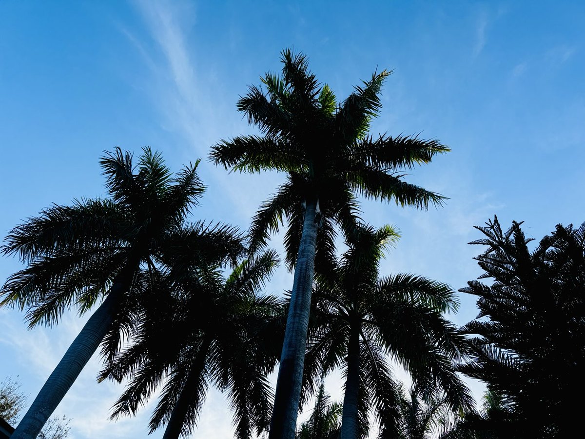 Um yea.
I ❤️ Miami!