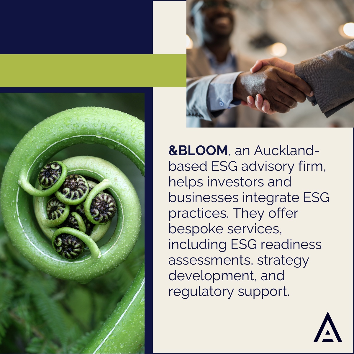 Altiorem tweet media