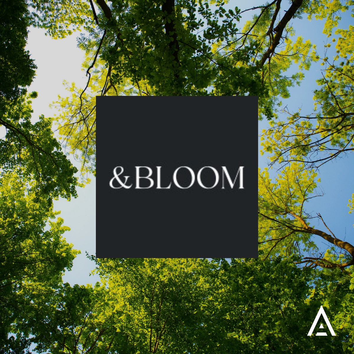 Altiorem tweet media