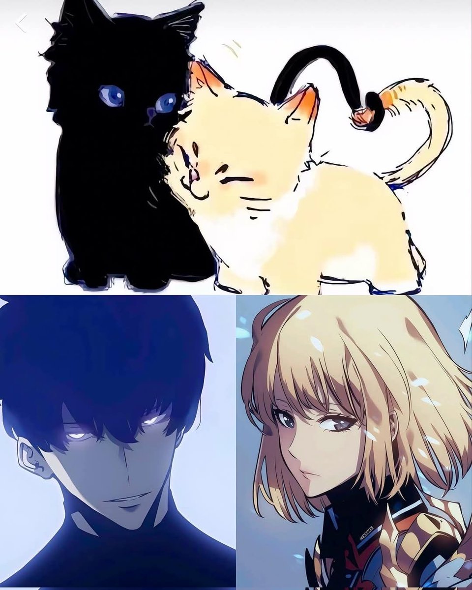 SoloLevelAnime's tweet image. 