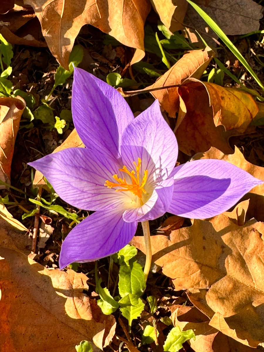 Run_fly_Smile's tweet image. Protecting the environment is first of all the right to live and the protection of life 😊

John Paul II

#environment #Life #Protecting #JohnPaul #Flower