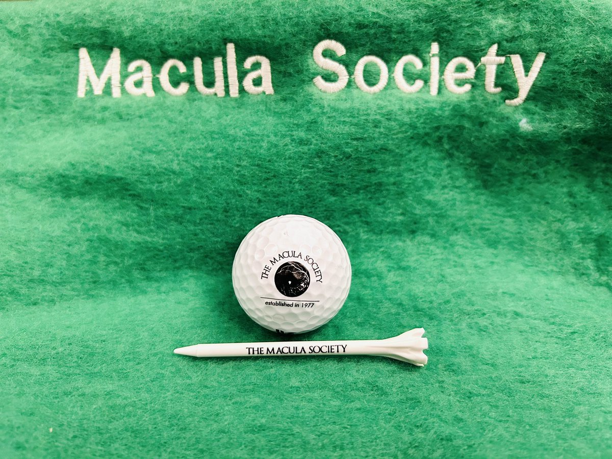 Great <a href="/macula/">macula</a> society meeting 2025: cutting edge info, old friends, new friends and new collaborations