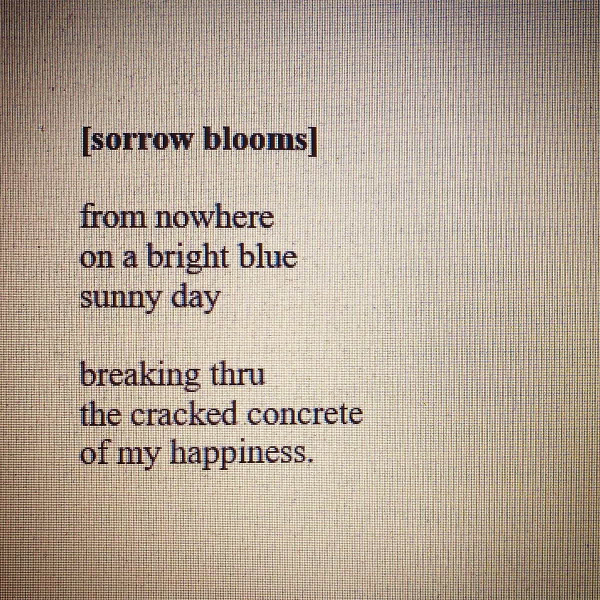 Edward L. Canavan tweet media