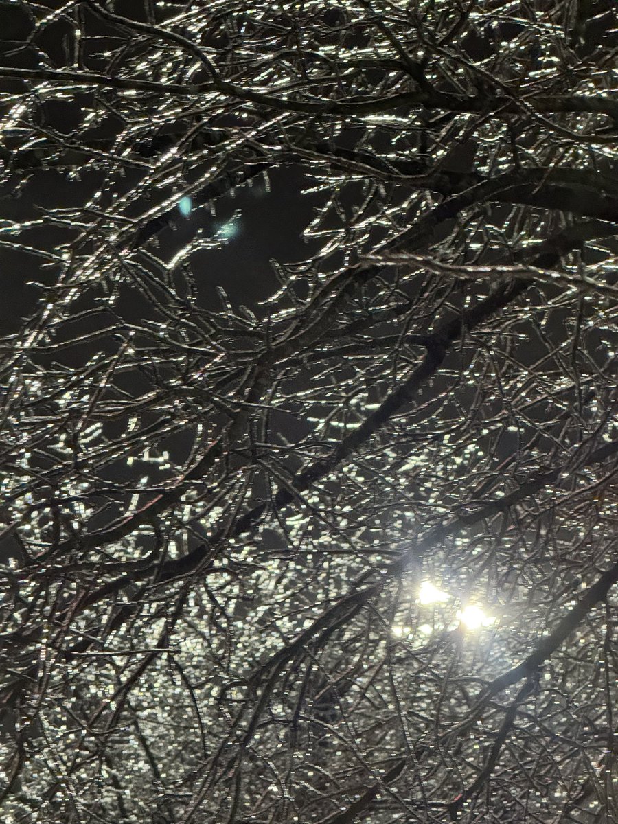 Ice has accumulated on tree branches in #NewBern, eastern #NC. A 1/4 inch of ice can cause branches to sag and fall, which could impact power lines.

We’re seeing an uptick in outages in #ENC due to the winter storm.

Report an outage + view outage map ➡️ duke-energy.com/outages