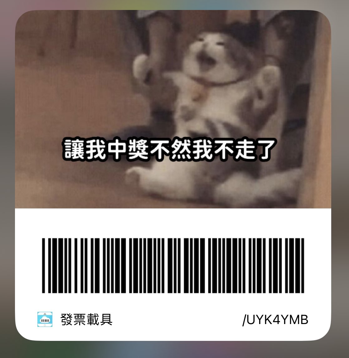 突然好奇大家的載具都長什麼樣🤔
大家路過都丟一下 讓我來看看有什麼！
我的是下面這個！