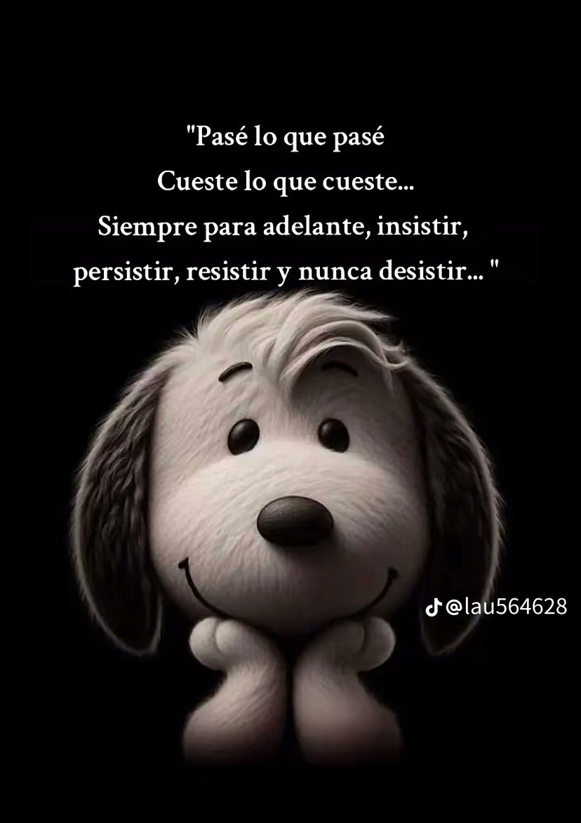 DIANCAPEREZ's tweet photo. @FRAENKELE https://t.co/HVnOFg4YyX