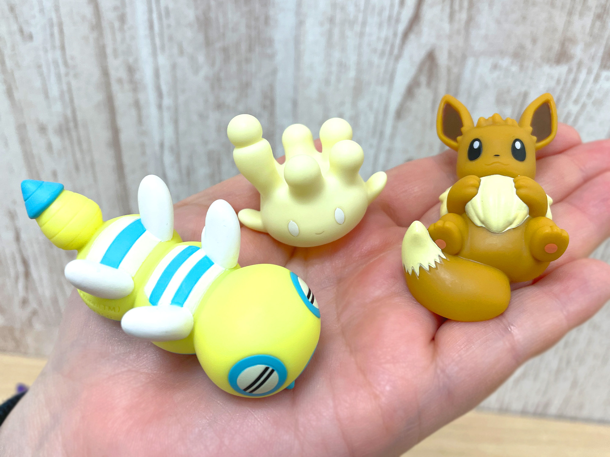 ポケモン食玩【公式】@ポケモンキッズ/スケールワールド ポケモン食玩【公式】@ポケモンキッズ/スケールワールド