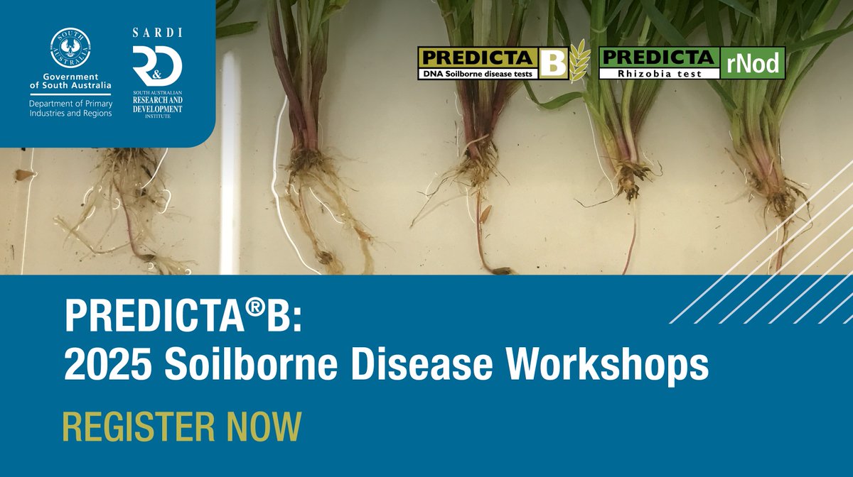 Join #SARDI at the PREDICTA®B 2025 Soilborne Disease Workshops and become qualified to deliver PREDICTA®B soilborne disease testing services!

📍 Adelaide – Tuesday, 25 February &amp; Bordertown – Wednesday, 26 February

Secure your spot: ow.ly/XU1S50V2pr7

#Agronomy #PREDICTAB