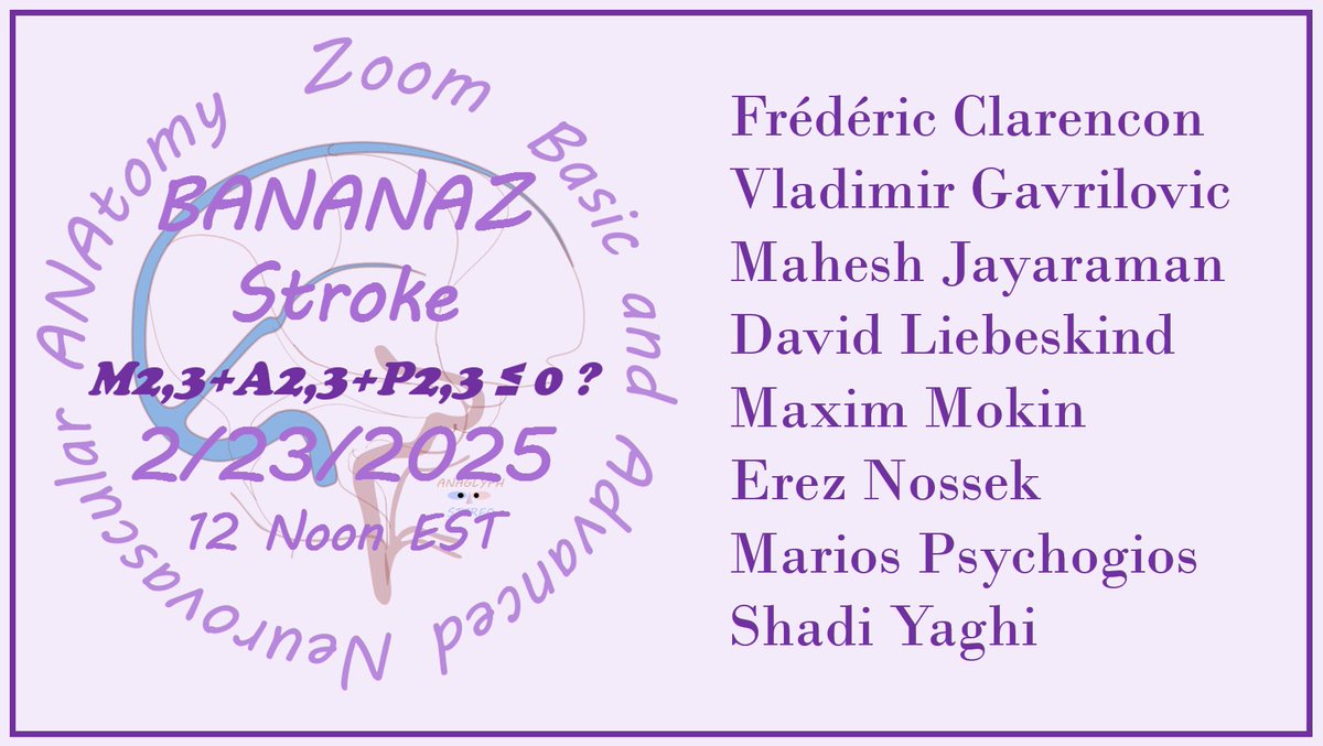 This Sunday February 23rd at noon NY Time, #BANANAz STROKE SESSION  — a forum to review recent trials and see where to go. As interactive and open mic as it can get. Let's discuss!!!
neuroangio.org/sample-page/ba…